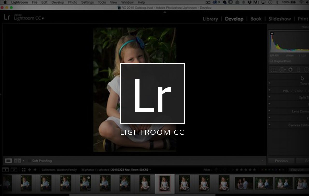 Lightroom Classic: Basics for Photographers