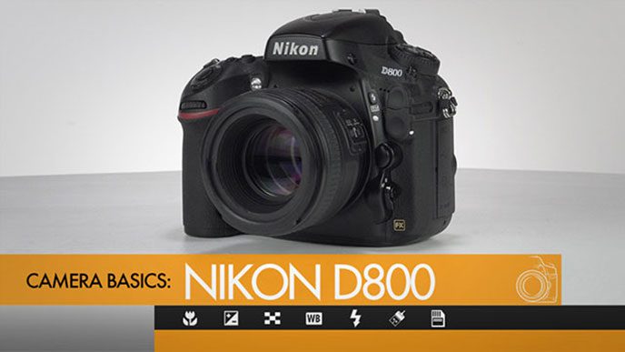 Nikon D800 Camera Basics
