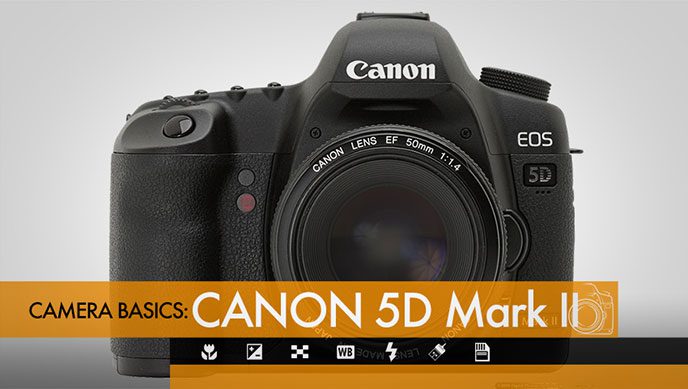 Canon 5D Mark II Camera Basics