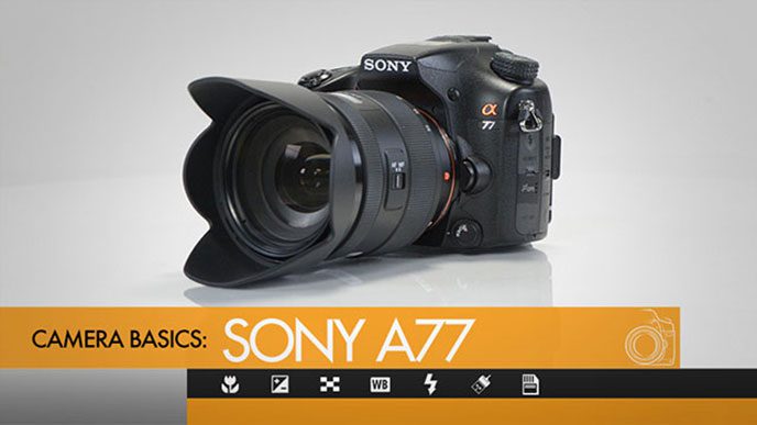 Sony A77 Camera Basics