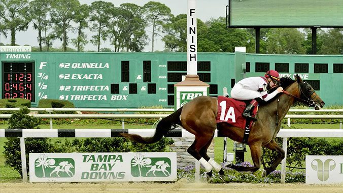 Live Action Horse Racing Photography