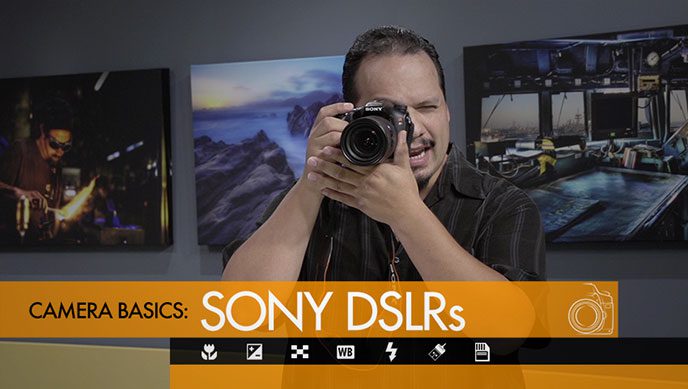 Sony DSLRs Camera Basics