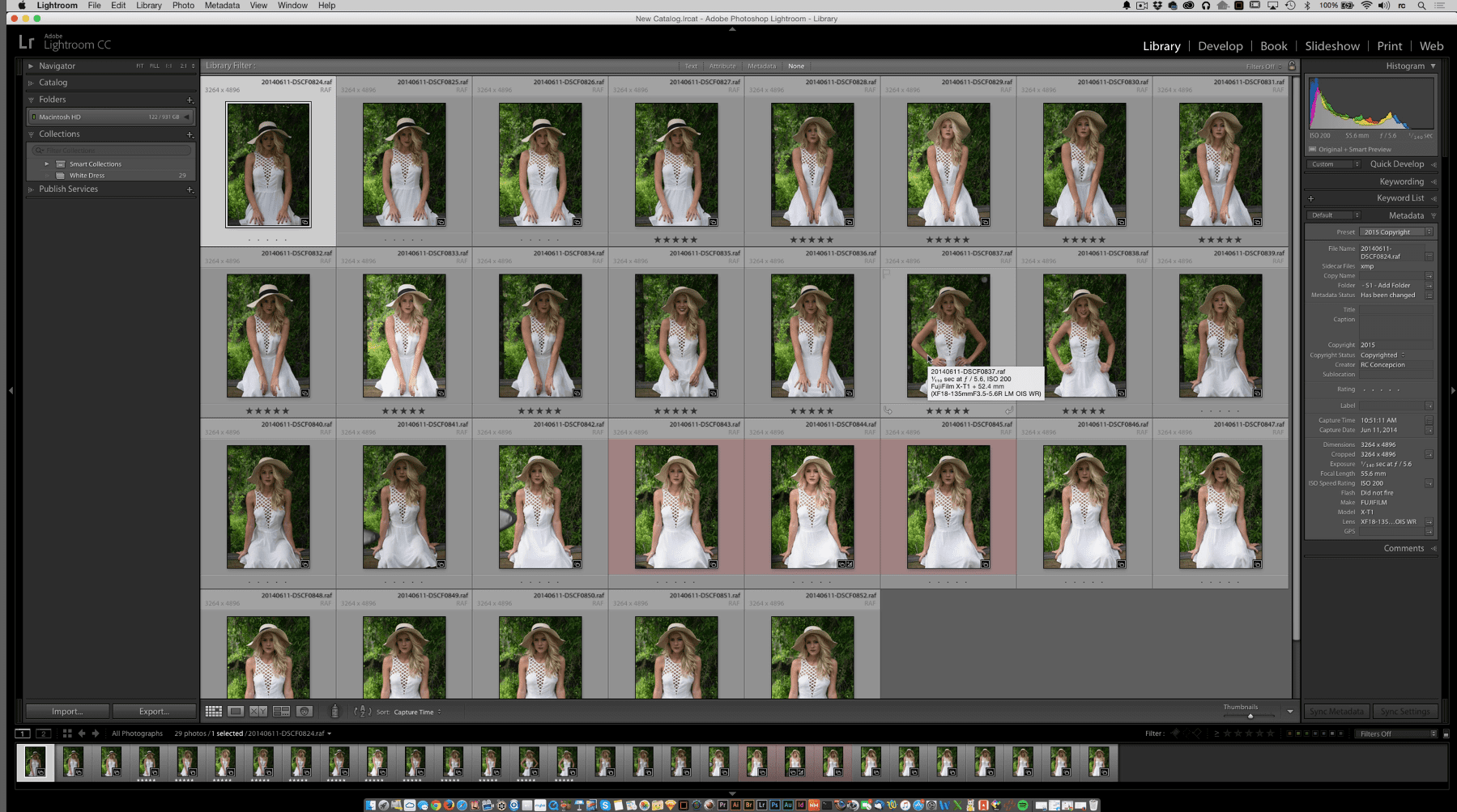 Exporting a Collection as a Catalog in Lightroom Quick Tutorial