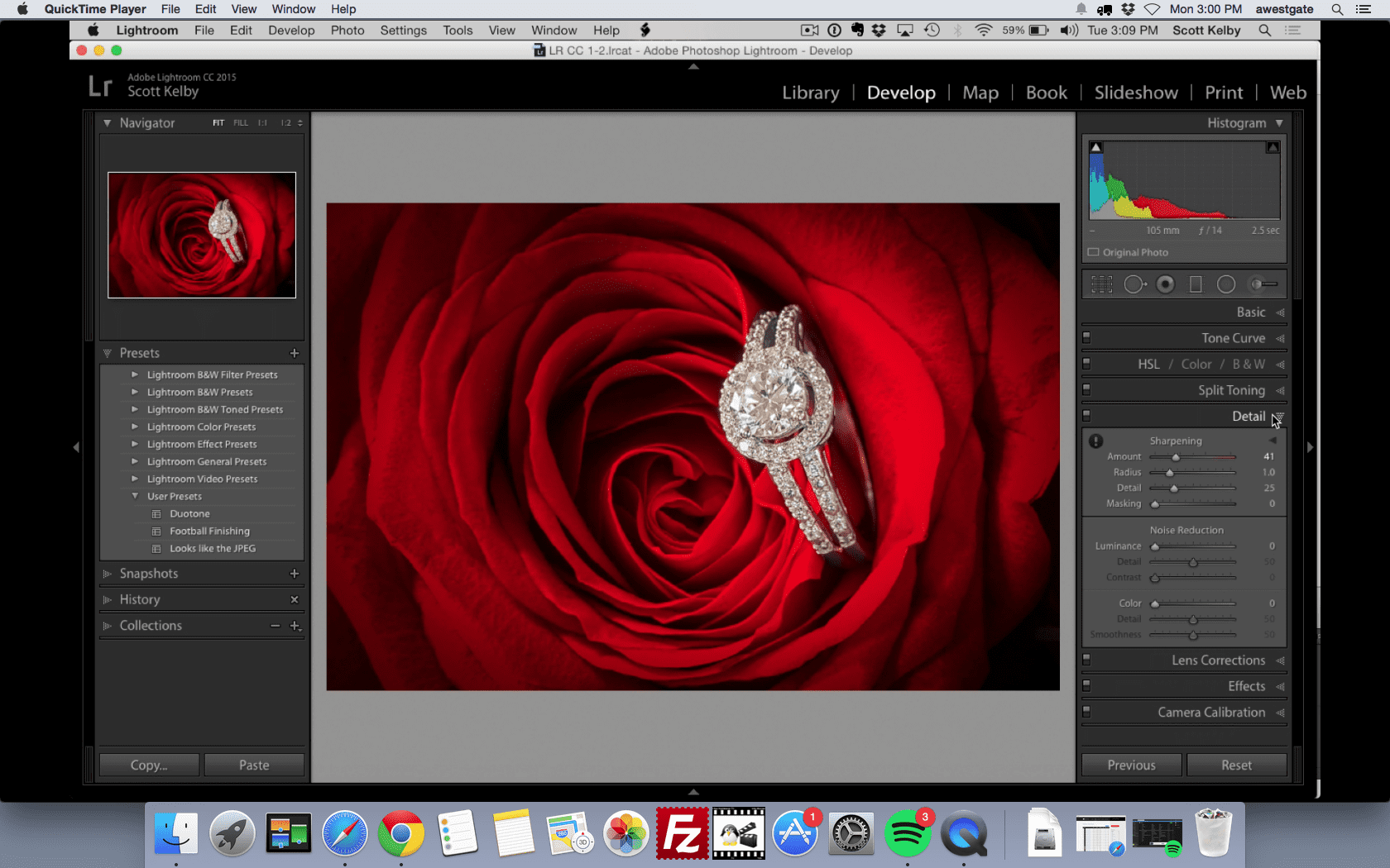 Detail Panel Sharpening in Lightroom Quick Tutorial