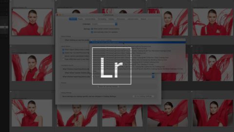 Protecting Your Photo Library & Backing Up Your Lightroom Classic Catalog