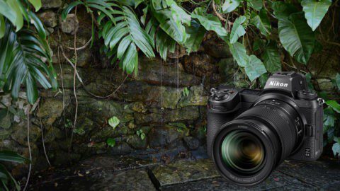 Hands-On with the Nikon Z6 II: Everything you Need to Know to Get Great Shots