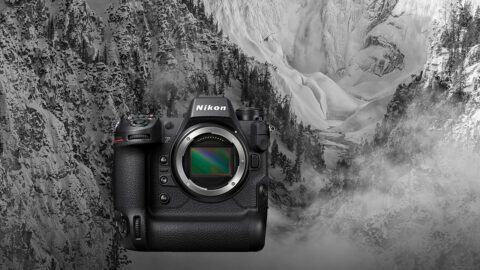 How to Use the Nikon Z9 Like a Pro