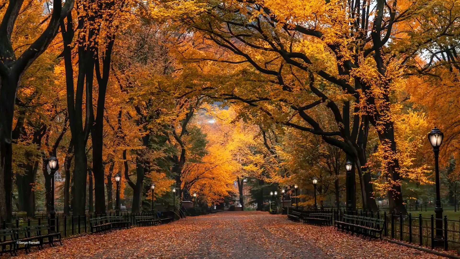 Landscape photography editing course image